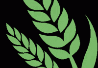 “基孔肯雅热”来袭 未病先防泰州市中医院“内外兼修”防蚊有术