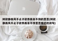 树欲静而风不止子欲养而亲不待的意思(树欲静而风不止子欲养而亲不待意思相近的诗句)