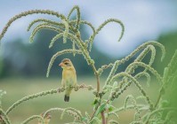 炮火第一线的震撼颠覆认知的义乌真相