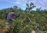 广西日报头版头条|信用能比万两金