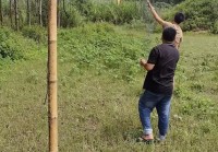 巧设网者终自缚 跨省护鸟机制织密“法网”