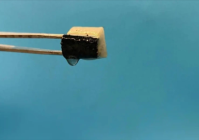 空气中挤水!中澳科学家发明智能海绵