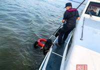 黄石海事救起一名落水女子 对方表示在武汉江滩江边落水