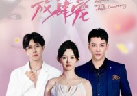 免费短剧:荣耀短剧100集免费看(荣耀电视剧)