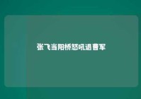 张飞当阳桥怒吼退曹军 张飞当年当阳桥是什么河