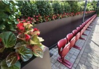 青年早新闻 九三阅兵观礼座被二次利用了！多所学校也将收到