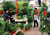 新闻联播文字版每日范文(通用3篇)