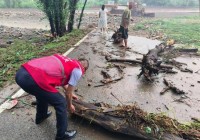 应对特大暴雨开启理赔绿色通道！北京保险业启动重大灾害事故应急响应机制 多渠道快速响应救援
