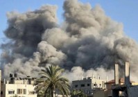 法英为何宣布计划承认巴勒斯坦国 国际立场转变