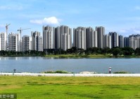 贝搏在线登录官方版下载