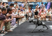 与机器人互动 感受人工智能技术魅力