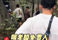 游客为逃票爬梯子翻墙进明孝陵 景区回应