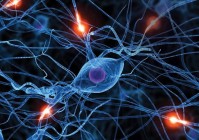 金观涛:人工智能革命实质是对“智能”认识的某种退步