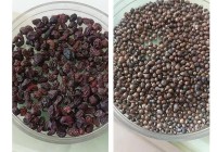 喝了3天网购“中药”头晕恶心 商家称是“正品”