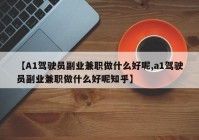 【A1驾驶员副业兼职做什么好呢,a1驾驶员副业兼职做什么好呢知乎】