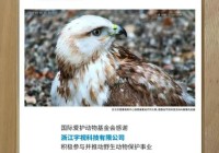 人工智能慢慢有了修成正果的样子