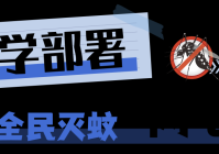 防范于未然!武汉全市大扫除!