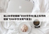 插上科学的翅膀飞500字作文(插上科学的翅膀飞500字作文喷气背包)