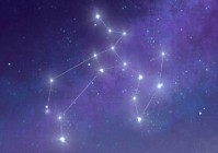 12星座谁能嫁给明星