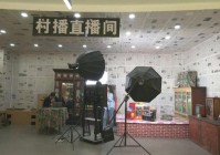 北林:聚力发展电商产业 点燃区域经济高质量发展新引擎