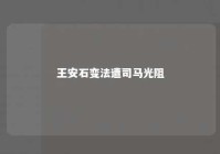 王安石变法遭司马光阻