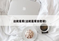 这就是爱(这就是爱吉他谱)