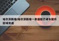 哈尔滨新增/哈尔滨新增一条道路已通车提升区域交通