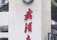 一句“滚出湖北”揭开了武大的遮羞布!是谁制造了这起事件