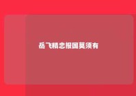 岳飞精忠报国莫须有 岳飞精忠报国古诗