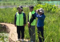 新华视点丨守护鸟类家园 共绘生态蓝图