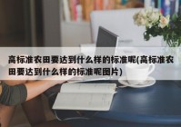 高标准农田要达到什么样的标准呢(高标准农田要达到什么样的标准呢图片)