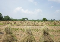 今日四月初十是“吉日”无论多忙提醒大家:1敬、2吃、3不做。