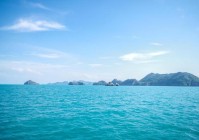 在线网校:个性化学习满足多样化需求大象网盟