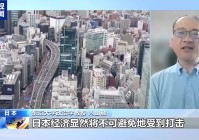 日本专家:美国滥施关税将给全球经济带来风险
