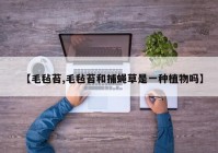 【毛毡苔,毛毡苔和捕蝇草是一种植物吗】