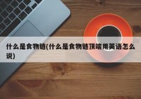 什么是食物链(什么是食物链顶端用英语怎么说)