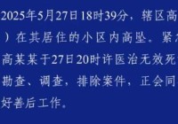 武汉11岁男孩坠楼身亡排除刑案家长承受质疑