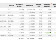 原实控人套现13亿元退出蓝黛科技或将易主安徽国资