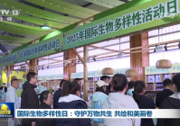 国际生物多样性日:守护万物共生 共绘和美画卷