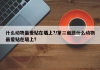 什么动物最爱贴在墙上?/第二道题什么动物最爱贴在墙上?