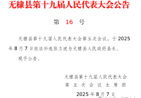 山东两市最新人事任免