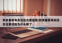 致青春原来你还在这里结局/致青春原来你还在这里结局为什么删了