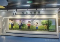 未成年法治保护中心实施方案-中小学法治科普中心设计施工