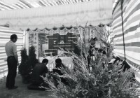 【实时滚动】东方之星客轮翻沉救援最新进展