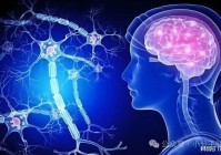 正开元肽知识科普: 小分子肽对身体的全面调理有哪些?