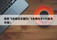 新款飞肯摩托车图片(飞肯摩托车150新车价格)