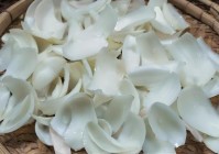 秋天一定要补肺气!多吃这三菜气不虚了呼吸顺畅安康过秋冬