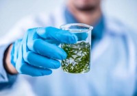 家用“藻箱”:城市营养新储粮