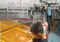 【直通校园】太原市迎泽区双东小学开展暑期科学教育活动