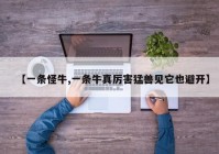 【一条怪牛,一条牛真厉害猛兽见它也避开】